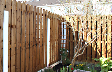 Back Garden Fence
