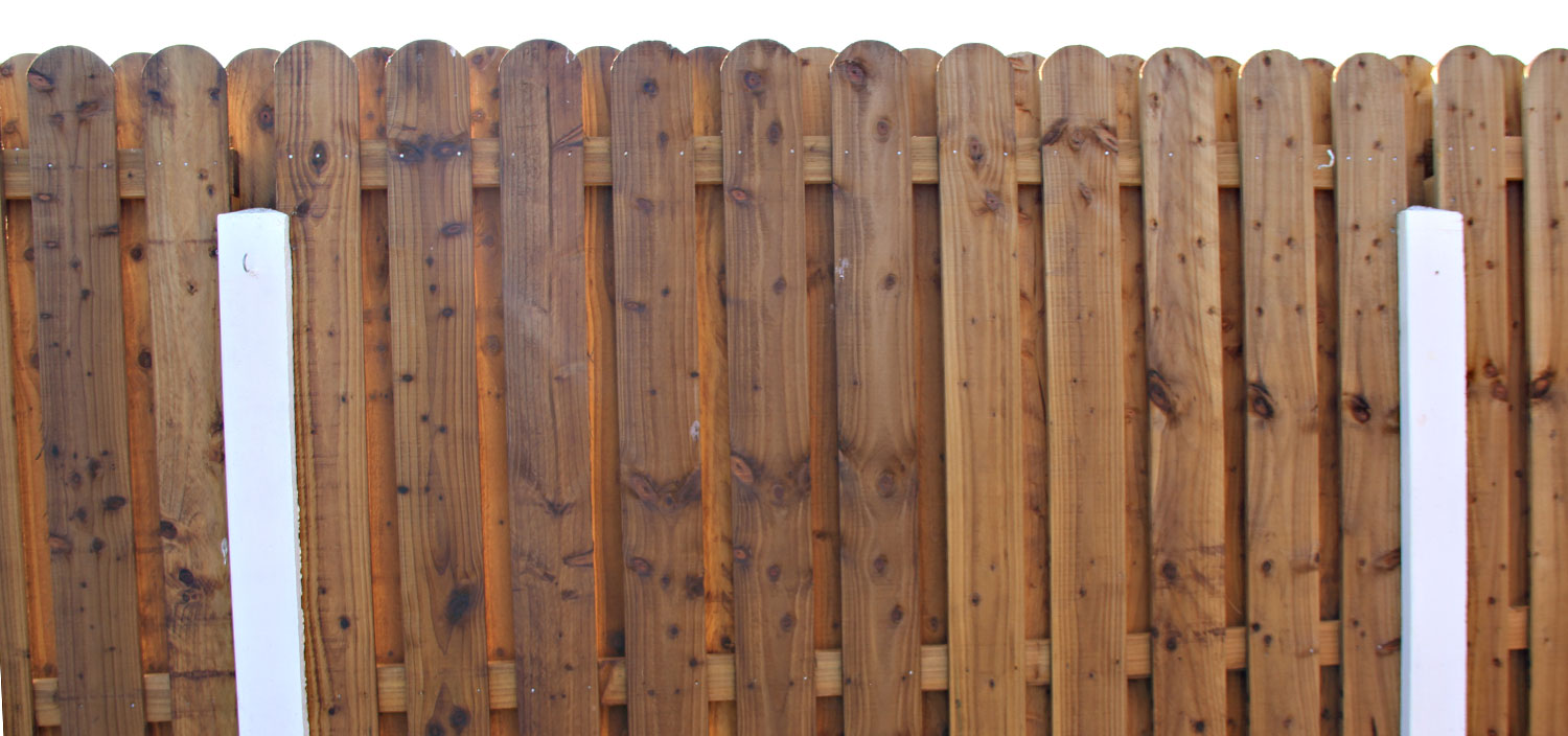 Back Garden Fence 3